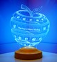 Diyetisyenler Günü Hediyesi Kişiye Özel Diyetisyen Doktor Hediyesi  3D 3 Boyutlu Led Lamba