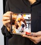 Evcil Hayvan Hatırası  Blok Akrilik Pleksiglas Fotoğraf Baskılı Plaket, Şeffaf Kenarlı Hediyelik Çerçeve 