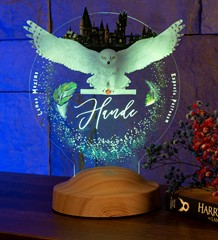 Harry Potter Hogwarts Hedwig Kişiye Özel 3D Led Lamba, Hediye Baykuş Gece Lambası, Harry Potter Hediyelik, Çocuk Odası Dekoru