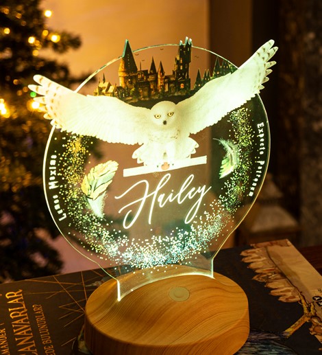 Harry Potter Hogwarts Hedwig Kişiye Özel 3D Led Lamba, Hediye Baykuş Gece Lambası, Harry Potter Hediyelik, Çocuk Odası Dekoru