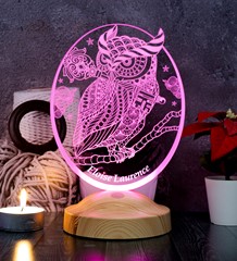 Baykuş Kişiye Özel Led Lamba, Baykuş Tasarımlı 3D Gece Lambası, Baykuş Temalı Dekoratif Lamba, Baykuş Şekilli Hediye