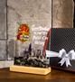 Kişiye Özel Pleksi Şeffaf Tablo Hogwarts Gryffindor Binası Harry Potter Hediyesi