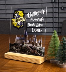 Kişiye Özel Harry Potter Hogwarts Hufflepuff Hediyesi, Harry Potter Figür, Kişiye Özel Pleksi Çerçeve, Hufflepuff