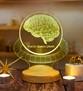 Beyin Tasarımlı 3D Led Lamba, Nöroloji Uzmanı Doktoru Hediyesi, Beyin Cerrahı için Hediye, Tıp Bayramı Hediyesi 