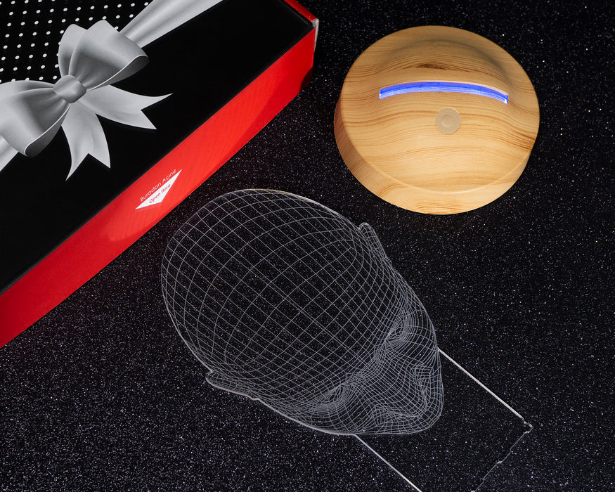 3D İnsan Kafası LED Lamba, Endüstriyel Tasarımcı için Hediye, Sanatçı için Hediye, Masa Lambası