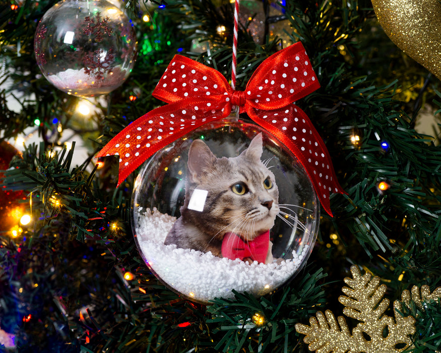 Kedi - Köpek Fotoğraflı Yılbaşı Ağaç Süsü – Kişiye Özel Evcil Hayvan Hediyesi