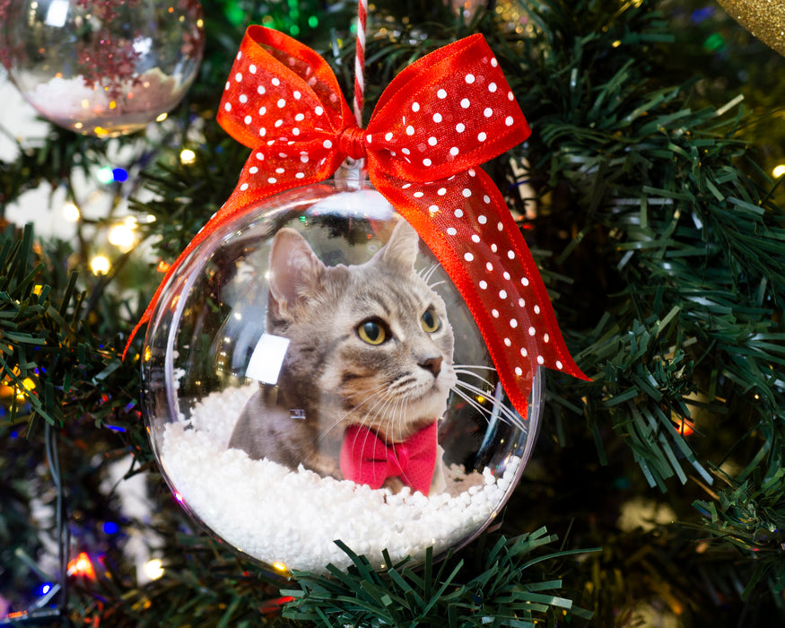 Kedi - Köpek Fotoğraflı Yılbaşı Ağaç Süsü – Kişiye Özel Evcil Hayvan Hediyesi