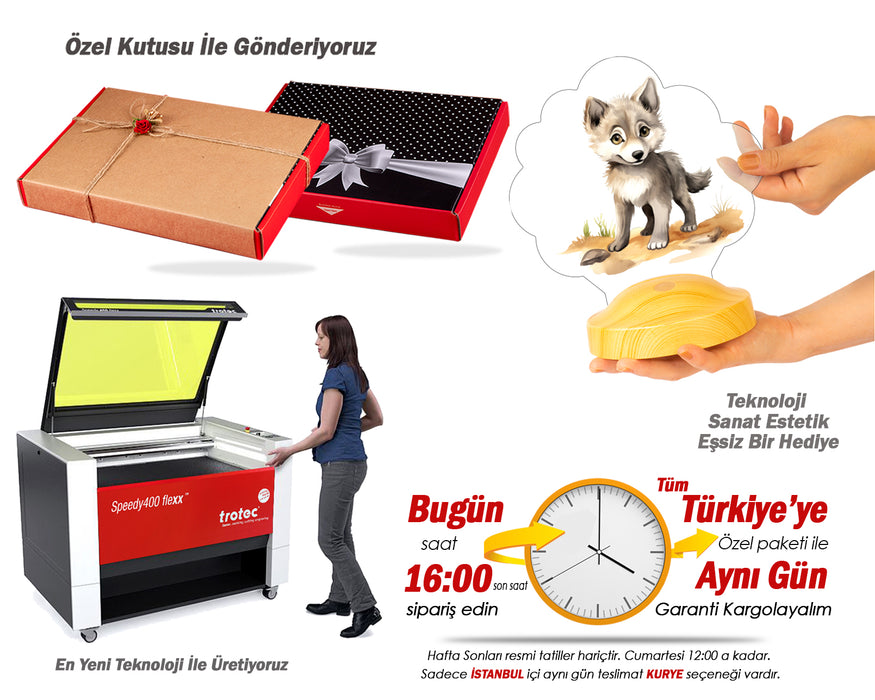 Sevimli Kurt Çocuk Odası Gece Lambası, Kurt Köpeği  Bebek Doğum Günü Hediyesi, İsimli Çocuk Hediyesi