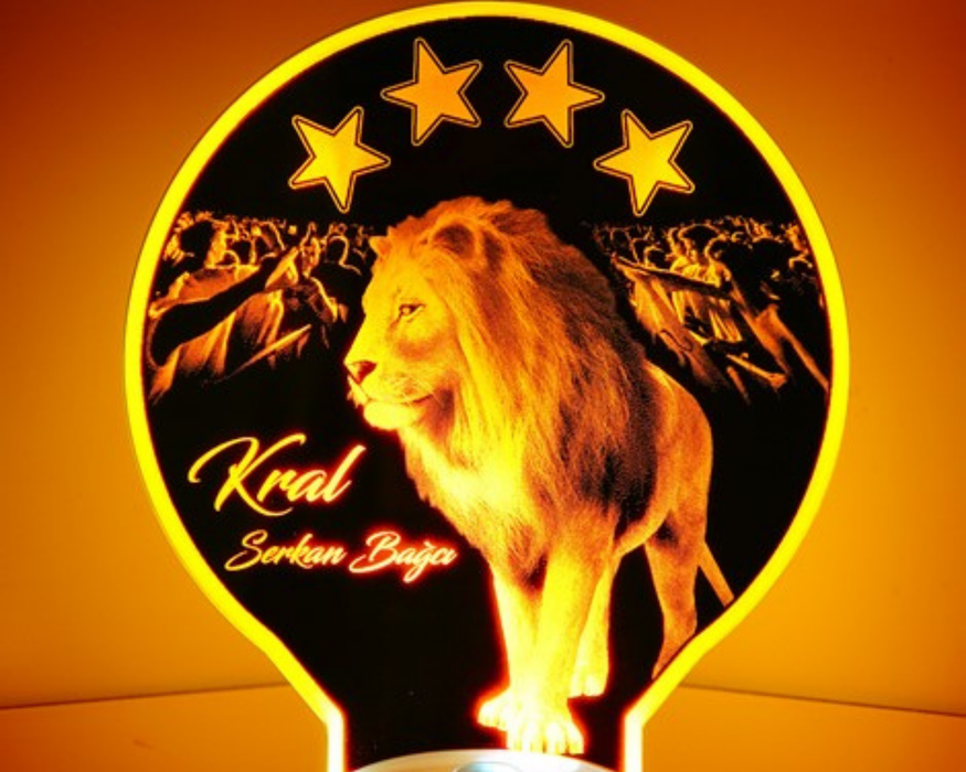 Kişiye Özel Hediye Aslan Led Lamba