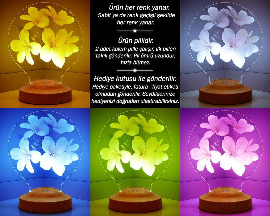 Sevgiliye Hediye, Plumeria Çiçeği Sevgiliye Doğum Günü Hediyesi İsimli Led Lamba