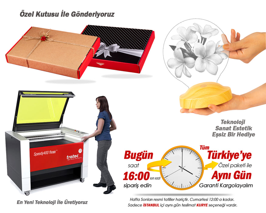 Sevgiliye Hediye, Plumeria Çiçeği Sevgiliye Doğum Günü Hediyesi İsimli Led Lamba