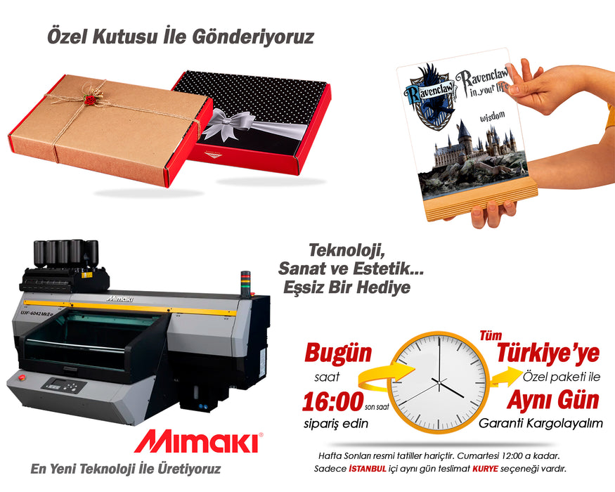 Kişiye Özel Harry Potter Hogwarts Ravenclaw Hediyesi, Harry Potter Figür, Ravenclaw Hediyesi, Harry Potter Tablo