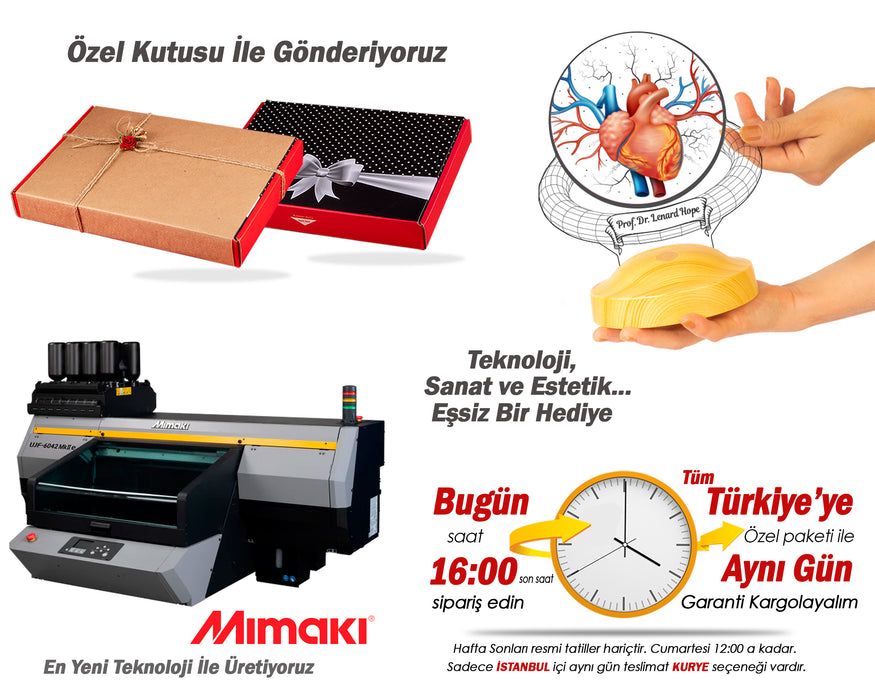 Kardiyolog ve Kalp Doktoruna Özel İsimli Hediye -Kalp Damar Temalı 3D LED Lamba