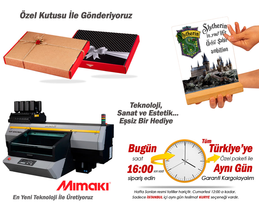 Kişiye Özel Pleksi Şeffaf Tablo Hogwarts Slytherin Binası Harry Potter Hediyesi