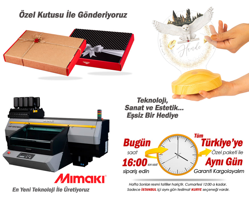 Harry Potter Hogwarts Hedwig Kişiye Özel 3D Led Lamba, Hediye Baykuş Gece Lambası, Harry Potter Hediyelik, Çocuk Odası Dekoru