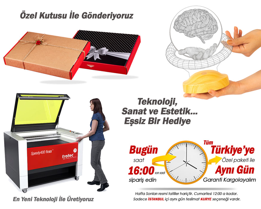 Nöroloji Doktoruna Hediye, Nöroloğa Özel Beyin Figürlü 3D Hediye Led Lamba