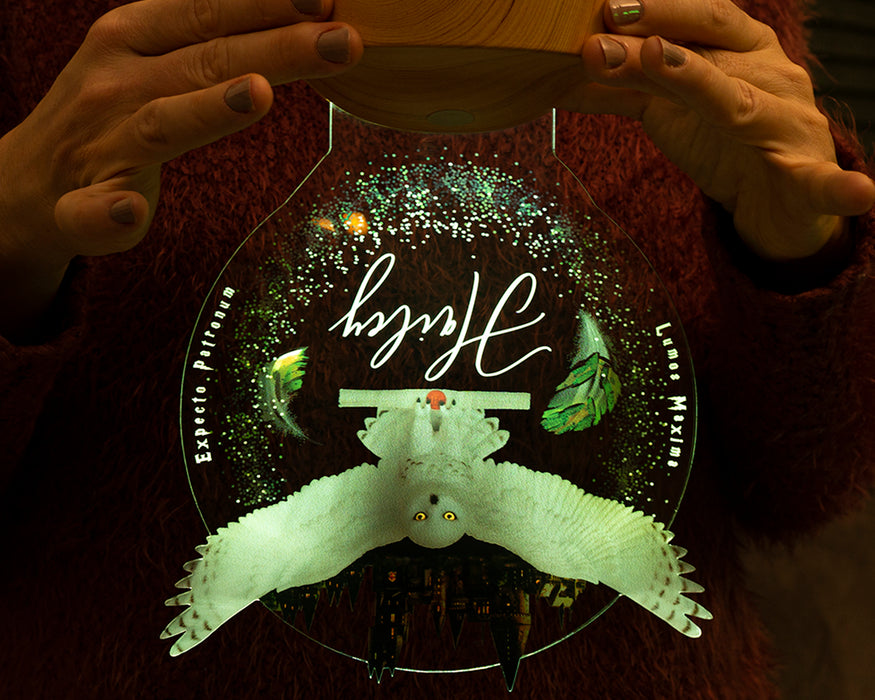 Harry Potter Hogwarts Hedwig Kişiye Özel 3D Led Lamba, Hediye Baykuş Gece Lambası, Harry Potter Hediyelik, Çocuk Odası Dekoru