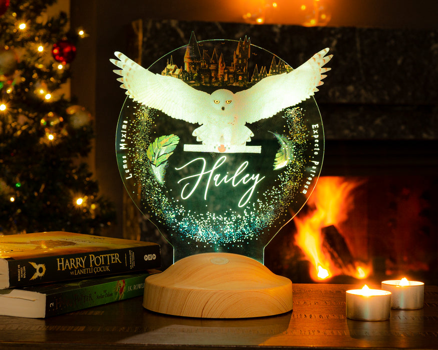 Harry Potter Hogwarts Hedwig Kişiye Özel 3D Led Lamba, Hediye Baykuş Gece Lambası, Harry Potter Hediyelik, Çocuk Odası Dekoru