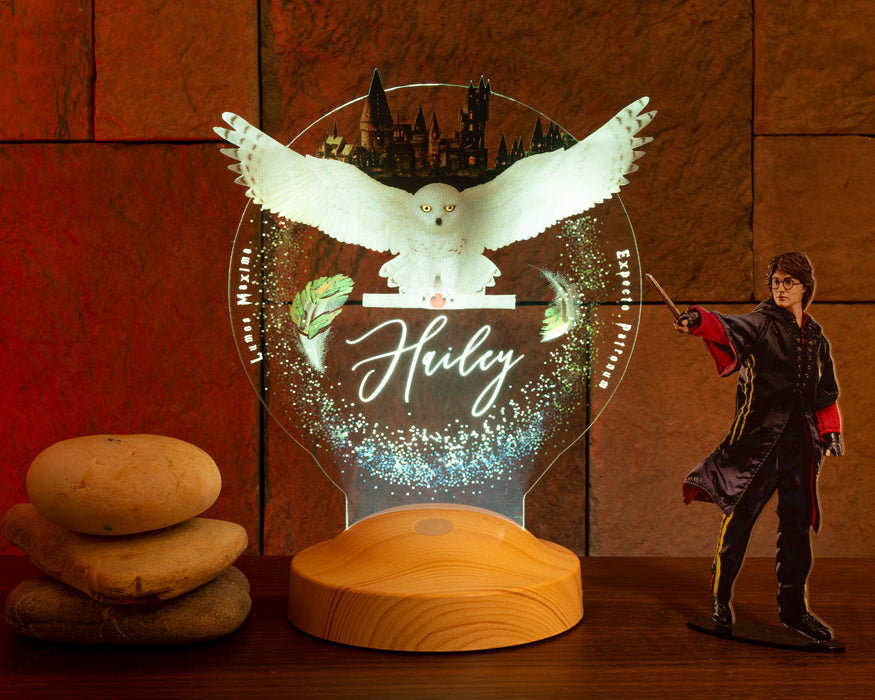 Harry Potter Hogwarts Hedwig Kişiye Özel 3D Led Lamba, Hediye Baykuş Gece Lambası, Harry Potter Hediyelik, Çocuk Odası Dekoru