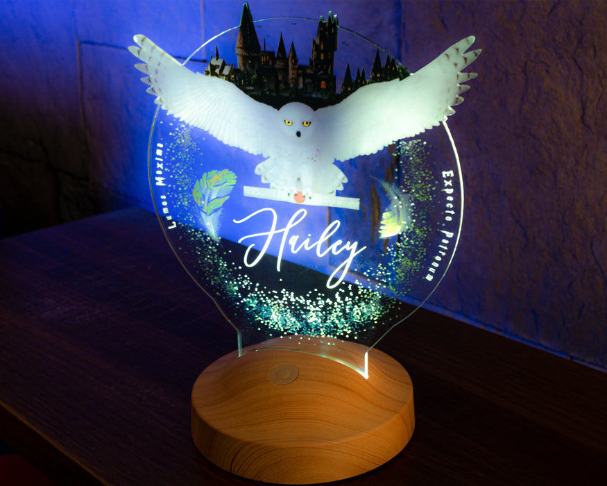 Harry Potter Hogwarts Hedwig Kişiye Özel 3D Led Lamba, Hediye Baykuş Gece Lambası, Harry Potter Hediyelik, Çocuk Odası Dekoru