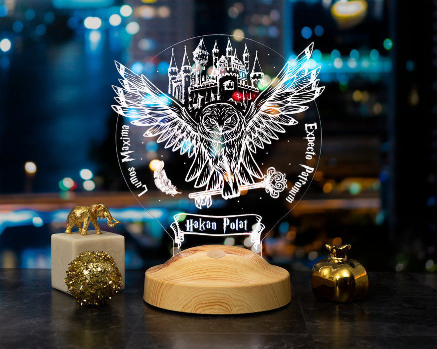 Hedwig Tasarımlı Kişiye Özel 3D Baykuş Lamba – Harry Potter Hediyesi
