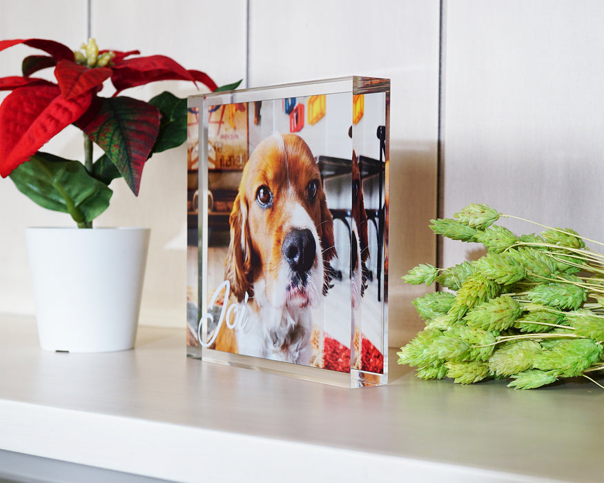 Evcil Hayvan Hatırası  Blok Akrilik Pleksiglas Fotoğraf Baskılı Plaket, Şeffaf Kenarlı Hediyelik Çerçeve