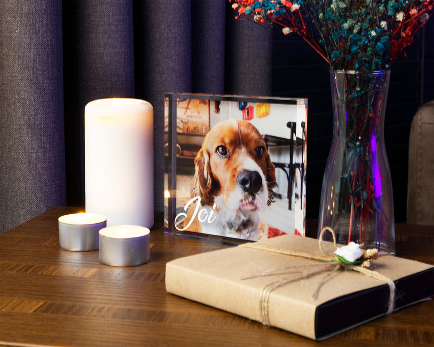 Evcil Hayvan Hatırası  Blok Akrilik Pleksiglas Fotoğraf Baskılı Plaket, Şeffaf Kenarlı Hediyelik Çerçeve