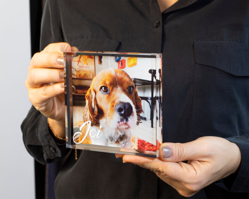 Evcil Hayvan Hatırası  Blok Akrilik Pleksiglas Fotoğraf Baskılı Plaket, Şeffaf Kenarlı Hediyelik Çerçeve