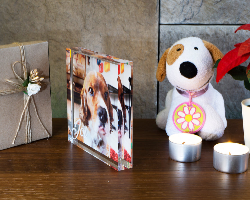 Evcil Hayvan Hatırası  Blok Akrilik Pleksiglas Fotoğraf Baskılı Plaket, Şeffaf Kenarlı Hediyelik Çerçeve
