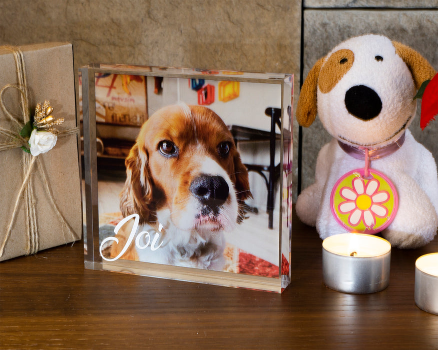Evcil Hayvan Hatırası  Blok Akrilik Pleksiglas Fotoğraf Baskılı Plaket, Şeffaf Kenarlı Hediyelik Çerçeve