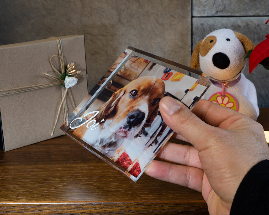 Evcil Hayvan Hatırası  Blok Akrilik Pleksiglas Fotoğraf Baskılı Plaket, Şeffaf Kenarlı Hediyelik Çerçeve