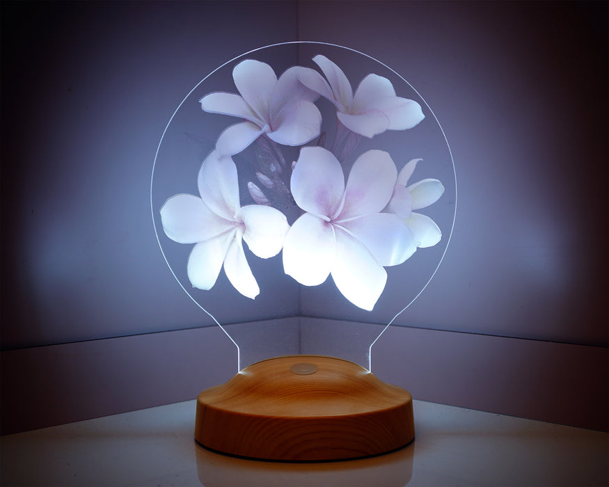 Sevgiliye Hediye, Plumeria Çiçeği Sevgiliye Doğum Günü Hediyesi İsimli Led Lamba
