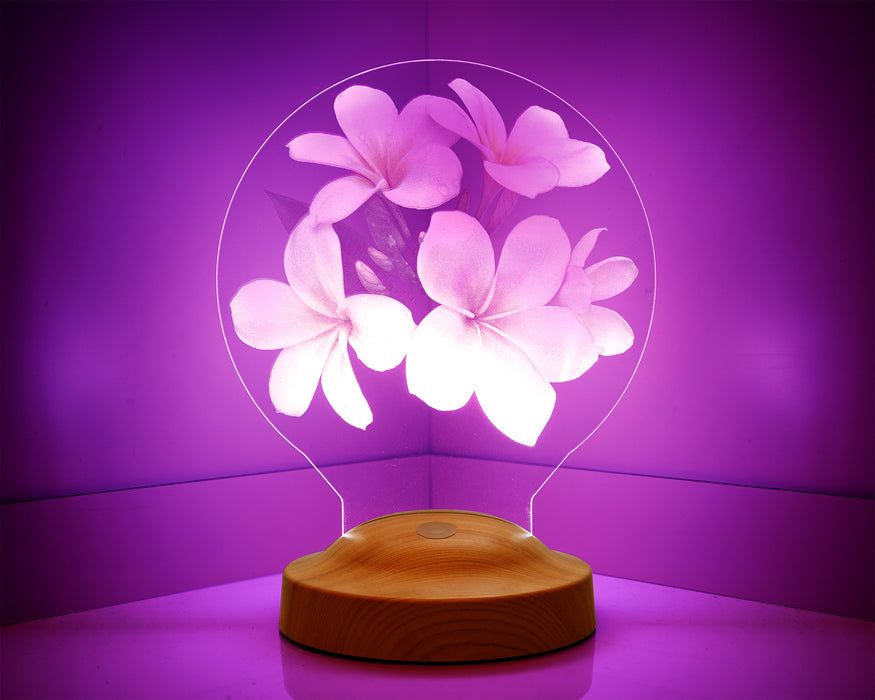 Sevgiliye Hediye, Plumeria Çiçeği Sevgiliye Doğum Günü Hediyesi İsimli Led Lamba
