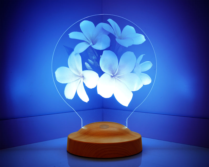 Sevgiliye Hediye, Plumeria Çiçeği Sevgiliye Doğum Günü Hediyesi İsimli Led Lamba