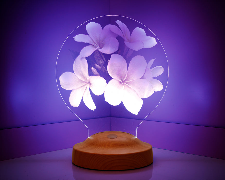 Anneye Hediye, Kişiye Özel Anneler Günü Hediyesi Plumeria Çiçeği Led Lamba, Canım Annem Hediyesi